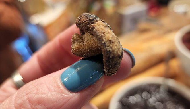 סיור קולינרי במחנה יהודה