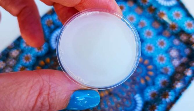 סיור קולינרי בשוק נתניה עם טועמים את השוק